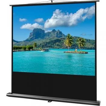 celexon portátil proyector- Pantalla de trípode Ultra portátil Professional para Escuela, presentación u Oficina con Varilla telescópica - 200 x 150 cm - 4:3 - Ganancia 1.0