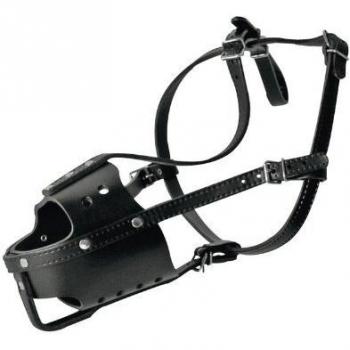 Muzzle para perro policía Martin Sellier con collar y correa, tamaño 10, ideal para trabajo