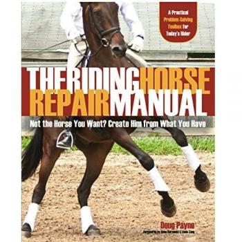 The Riding Horse You Want? Create Him from What You Have