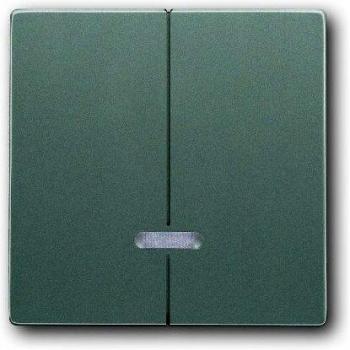 Busch-Jaeger 6545-803 - Interruptor
