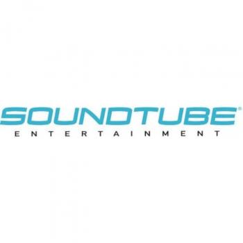 SoundTube Entertainment AC-RSEZ-HH-10 10' Extra Hanging Cable Kit for RS42-EZ, RS62-EZ, RS82-EZ Speaker