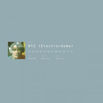 B12 Electro-Soma 2017 UK 2-LP vinyl set WARPLP9R
