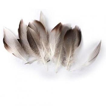 Plumas De Pato Salvaje Para 20pcs 9-13cm Artesanía Sombrero Máscara