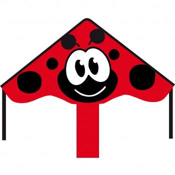 Invento 102144 – Ecoline simple Flyer Lady Bug Niños Dragón einleiner, a partir de 5 años, 42 x 85 cm y 1.5 m Dragón Cola Ripstop de poliéster 2 – 5 Beaufort