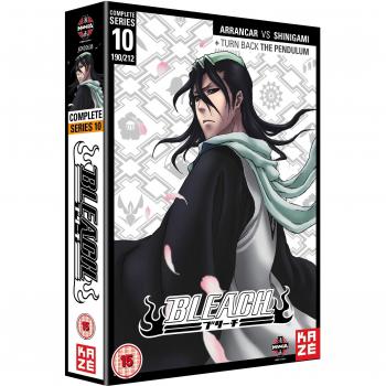 Bleach Complete Series 10