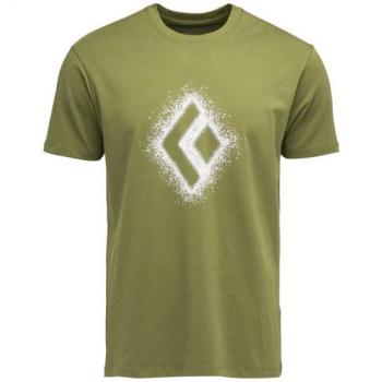 Camiseta de manga corta Black Diamond Chalked Up 2.0 verde - S