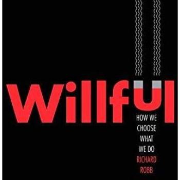 Willful: How We Choose What We Do