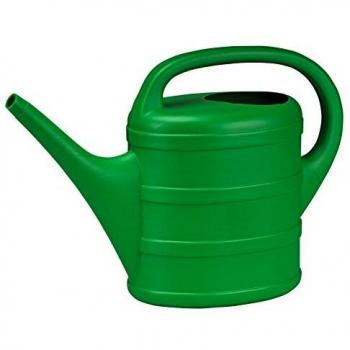 Maiol Desconocido M120653 - Regadera plastico domestica 5l