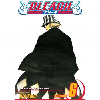 Bleach: v. 6