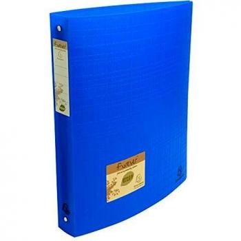 Exacompta 512570E - Carpeta de cartón