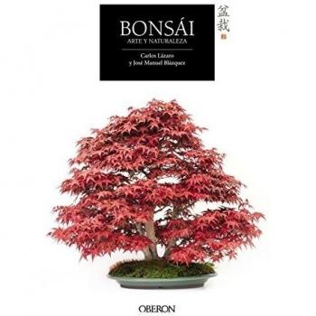 Bonsái. Arte y naturaleza - LAZARO, CARLOS; BLÁZQUEZ, JOSÉ MANUEL