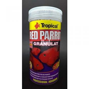 Tropical Red Parrot - Granulado