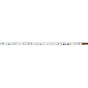 Cinta LED Flexible Brumberg 24V RGBW 5m 14,4W/m IP00