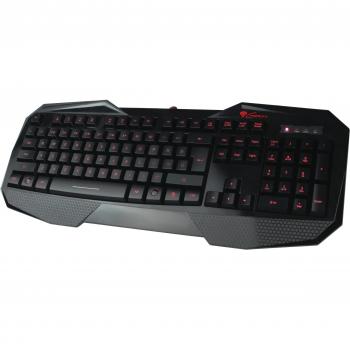 Keyboard Natec Genesis Rx33 Usb Gaming [Importación Inglesa]