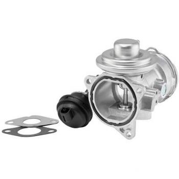 Válvula EGR Wahler 7372D para Audi, Ford y Skoda