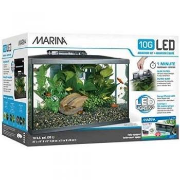 Marina 15256 - Kit de Acuario con Iluminación LED 10G, 38 L, Transparente