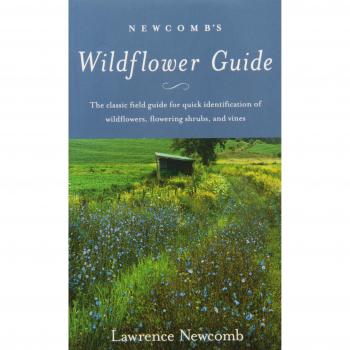 Newcomb's Wildflower Guide: An Ingenious New Key System for Quick, Positive Field Identification of Wildflowers, Flowering Shrubs and Vines