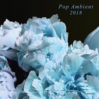 Pop Ambient 2018 (Various Artists) - Vinyl Compilation Album