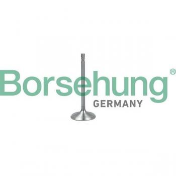 Válvula de admisión Borsehung B19017 con diseño optimizado y alta durabilidad
