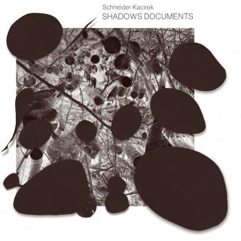 Schneider Shadow Document Organizer