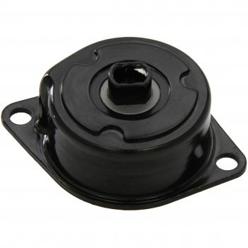 Tensor de correa poli V INA 534 0184 10 con rodamiento integrado