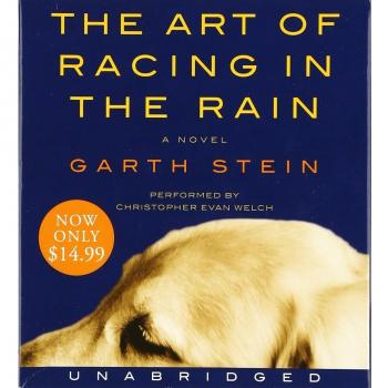 The Art of Racing in the Rain