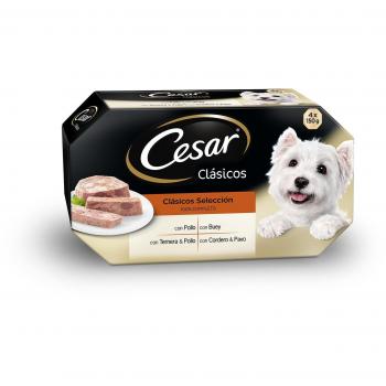 Cesar Wet Dog Food Multipack Classic Pate (4 x 150g)