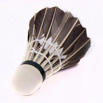 jushen 1 Set de deporte entrenamiento negro pluma de ganso bádminton bolas