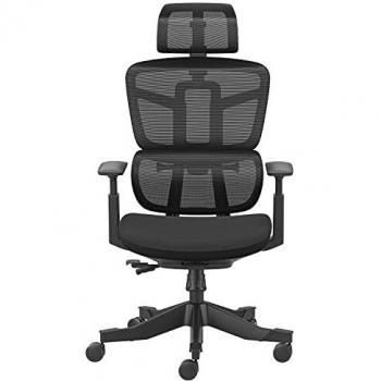 Hbada Silla de Oficina Ergonómica, Silla Giratoria con Respaldo Alto Ajustable, Soporte Lumbar, Reposacabezas, Apoyabrazos, Silla de Oficina Silla de Malla, Negro