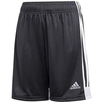 adidas Tastigo 19 Shorts Pantalón Corto, Unisex niños, DGH Solid Grey/White, 152
