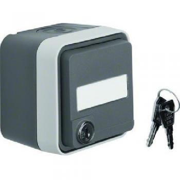 Toma de corriente Schuko Berker W.1 con tapa, cerradura y protección IP55, gris claro 47393505