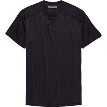 Icebreaker Amplify Crew - Camiseta de merino para hombre, color pantera, tamaño large