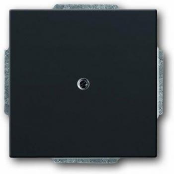 Placa Central Ciega Busch-Jaeger 1742-81, Antracita Brillante con Tragring