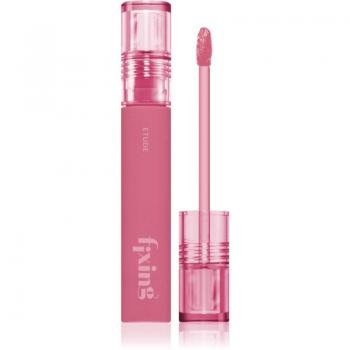 ETUDE Fixing Tint Ultra Matte Long-lasting Lipstick Shade #10 Smoky Cherry 4 g