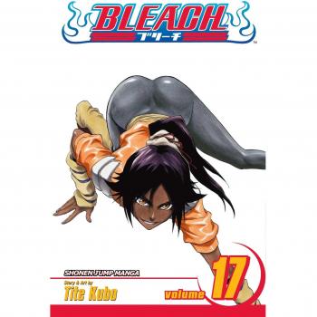 Bleach Volume 17