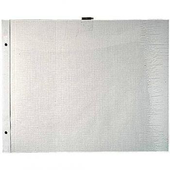 Exacompta Recambios Recambio para álbum con Tornillo Hojas Blancas, 29 x 37 cm con, Color