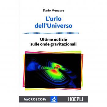 El grito del universo. El largo viaje de las ondas gravitacionales - Dario Menasce