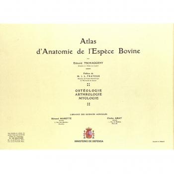 Atlas d'anatomie de l'espèce bovine: 2