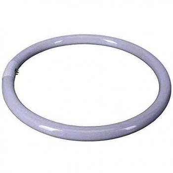 Philips - Lámpara fluorescente master tle circular 22w/840 1ct/12