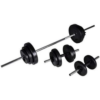 vidaXL Conjunto de Manucuernas 2 Pesas 30,5Kg Entrenamiento Discos Gimnasia