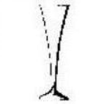 DERU kaufe 6 zahle 5 - Copas de cava ebrach 25 cm