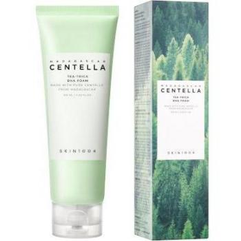 SKIN1004 Madagascar Centella Tea-Trica BHA Foam 125ml