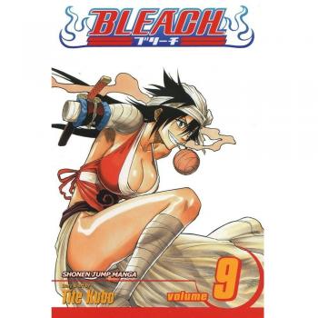 Bleach: v. 9: Fourteen Days for Conspiracy: Volume 9