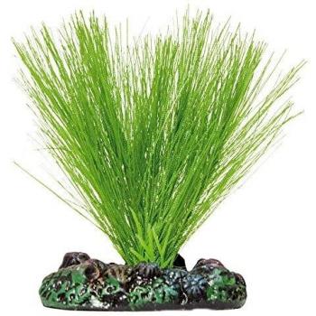 ICA AP1114 Miriophyllium de Aquatic Plants