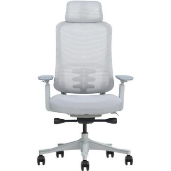 Silla Ergonómica Phoenix Lira con Apoyo Lumbar, Sistema Basculante y Reposacabezas 2D hasta 120 Kg