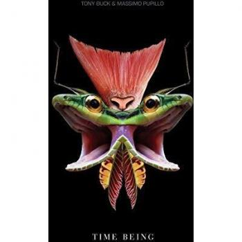 Time Being - Limited Edition Vinyl LP