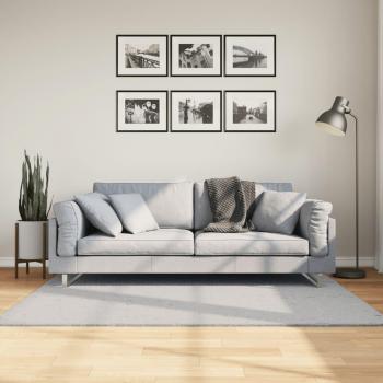 Alfombra suave y lavable de pelo corto gris 120x170 cm