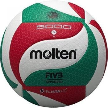 Molten Volleyball - 5, White/Green/Red
