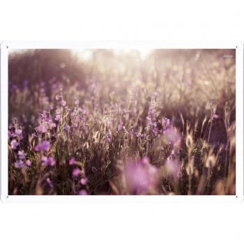 Metal cartel Cartel de chapa Hojalata sesión Flower Tin Sign #30689 Flowers With Purple Petals Retro Vintage Pared Decoración by hamgaacaan