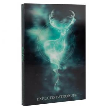 Cuaderno A5 Lenticular Punteado Harry Potter con Marcapáginas y Tapa Dura - 192 Páginas para Journaling